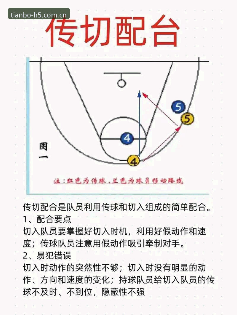 天博全站体育新手进阶操作教程：从下载入口到高阶战术的全流程指南