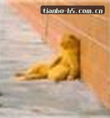 小杰